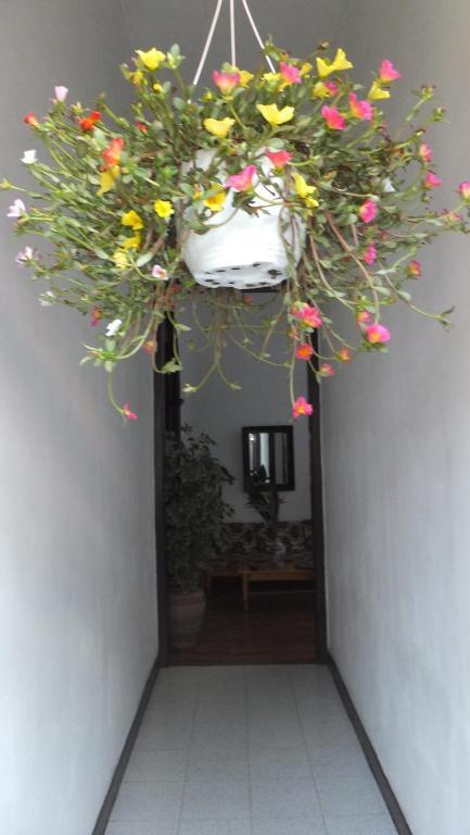 Casa Colonial Cejas Hotel Santa Cruz de Tenerife Exterior photo